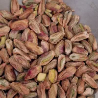 مغز پسته|خوردنی و آشامیدنی|قم, چهل درخت‎|دیوار