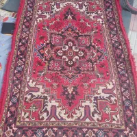 زرنیم تازه از دار افتاده به قیم مناسب