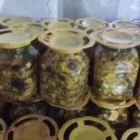 ترشی ارگانیک به صورت عمده|عمدهفروشی|کرمانشاه, |دیوار