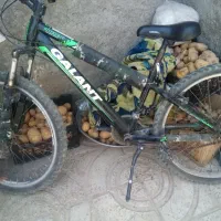 دوچرخه 26 گالانت اصل بدون هیچ گونه ایراد