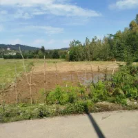 زمین شفت روستا بیجار سر|فروش زمین و ملک کلنگی|رشت, سلیمانداراب|دیوار