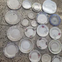 بشقاب مناسب باغ