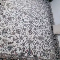 دوتا فرش ۱۲ متری ۷۰۰ شانه