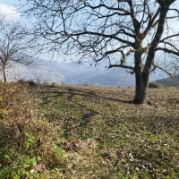 تعدادی-زمین-وویلادرشهر-آبعلی-ودشت-مشا-بفروش-میرسد