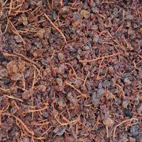 کشمش آبگیری