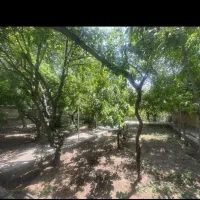 فروش  باغ ویلای ۸۰۰ متری کوچه ناهیدابعلی