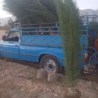 نهال سروناز و  ازگیل|عمده‌فروشی|خفر, |دیوار