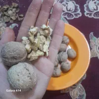 وسایل خونگی موجود|خوردنی و آشامیدنی|اهواز, کوی نیرو|دیوار