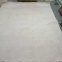 موکت پالاز صورتی|موکت|اراک, |دیوار