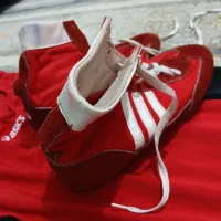 کفش کشتی و دو بنده|کیف، کفش، کمربند|صفادشت, |دیوار