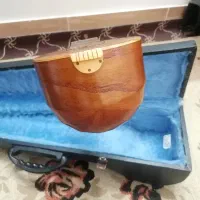 سه تار عزیزی تازه سرویس شده در حد نو با هارد کیس|سازهای سنتی|کاشان, امیرکبیر|دیوار