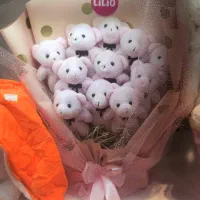 عروسک ولن تاین خرس