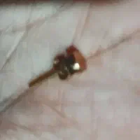 گوشواره گم شده