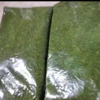 ۳۵ کیلو سبزی مایع شامی بابلی با گوشت فراوان|خوردنی و آشامیدنی|امیرکلا, |دیوار