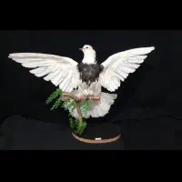 مجسمه|مجسمه، تندیس، ماکت|تهران, نازی‌آباد|دیوار