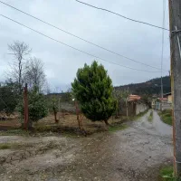 فروش قطعه زمین به مساحت ۲۵۰ متر|فروش زمین و ملک کلنگی|رحیم‌آباد, |دیوار