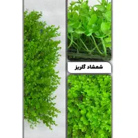 چمن مصنوعی|گل مصنوعی|کرج, حسینآباد|دیوار