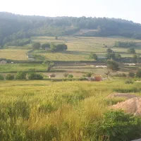 زمین-با-چشم-انداز-زیبا-با-امکانات-برق-اب-وگاز