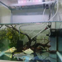 آکواریوم بزرگ شرکتی اکوا