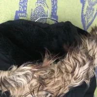 پالتو،پافر، کاپشن،مانتو جین،کت چرم و کلاه زنانه|لباس|همدان, |دیوار