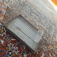 قفس غلامی