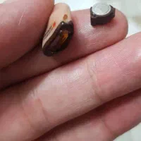 فروش تجویز تعمیر تنظیم سمعک