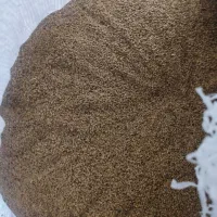 بذر یونجه محلی