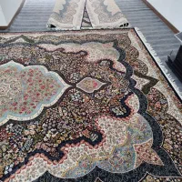 فرش ۱۲ متری|فرش|قزوین, |دیوار