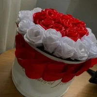 باکس روبانی