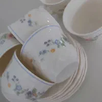 فنجان آرکوپال