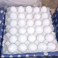 تخم مرغ شانه ای ۳۲۵