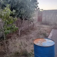 باغچه