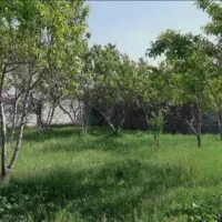 فروش-و-تهاتر-550-متر-زمین-مسکونی-خلج-آباد