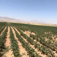 فروش زمین کشاورزی مکانیزه