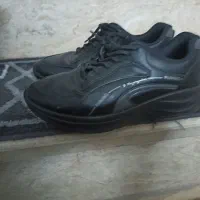 کفشهای تمیز|کیف، کفش، کمربند|سنندج, |دیوار