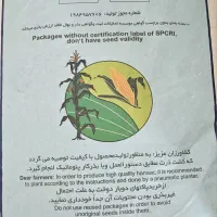 بذر ذرت جاوید دشت مغان