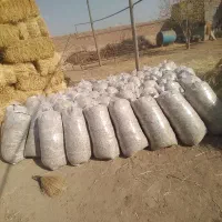 فروش تفاله تر و خشک