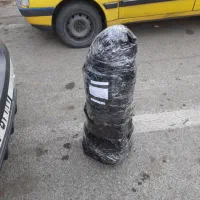 نهال انگور شرابی سردشت|گل و گیاه طبیعی|شیراز, جمال آباد|دیوار