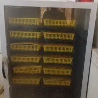 دستگاه جوجه کشی 1008عددی تخم مرغ برند ققنوس