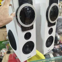 اسپیکر باند دو قولو