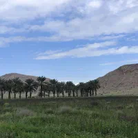 زمین 2600 متری