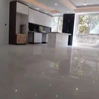 فرمانیه 160 متری طبقه همکف|اجارهٔ دفتر کار، اتاق اداری، مطب|تهران, حصار بوعلی|دیوار