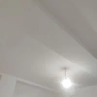 نقاشی تخصصی ساختمان|خدمات پیشه و مهارت|شیراز, گلشن|دیوار