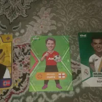 کیمدی|اسباب‌‌بازی|رشت, نظری|دیوار