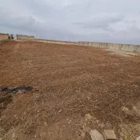 کشاورز و مسکونی|فروش زمین و ملک کلنگی|کوهدشت, |دیوار