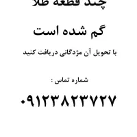 چند قطعه طلا گمشده است