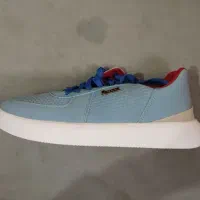 کتونی نو و تازه|کیف، کفش، کمربند|سنگر, |دیوار