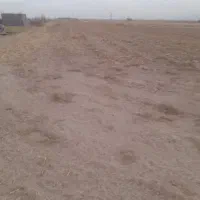 زمین باغ شهری|فروش زمین و ملک کلنگی|مرودشت, محمد آباد|دیوار