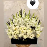 گل رز طبیعی هلندی فقط شاخه ای ۱۵|گل و گیاه طبیعی|قم, انصار‌الحسین|دیوار