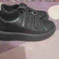 کفش سالم ودر حدنو